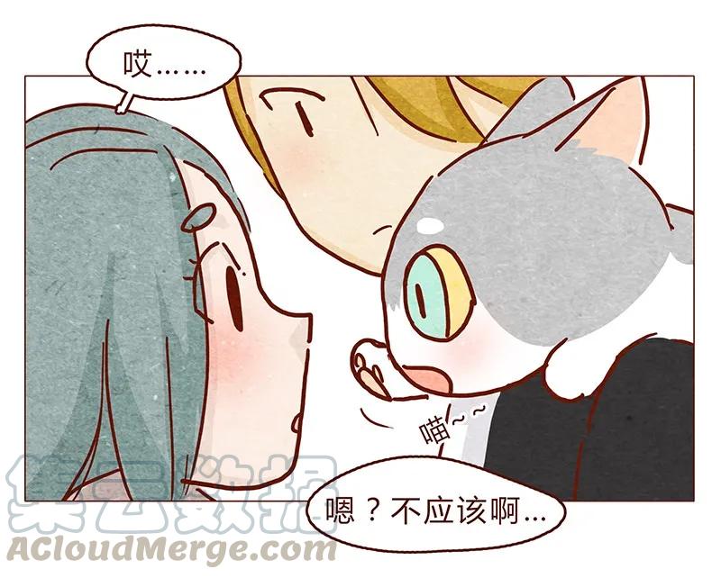 喂，看见耳朵啦 - 121话 你究竟是什么人！！ - 第5张图