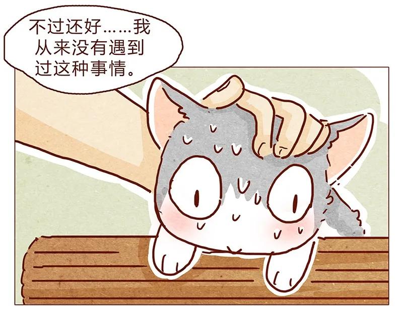 喂，看见耳朵啦 - 126话 不要怀疑自己的喵生 - 第11张图
