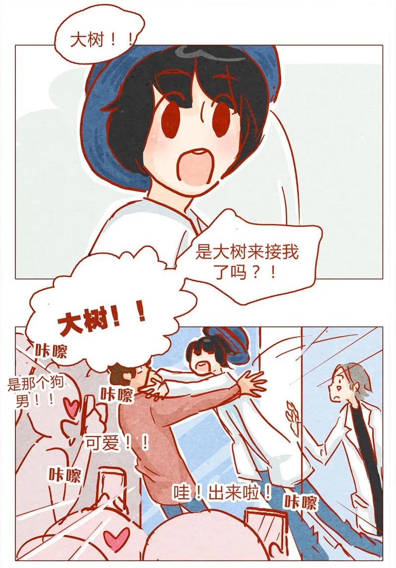 喂，看见耳朵啦 - 139话 铁打的粉丝流水的网红～ - 第11张图