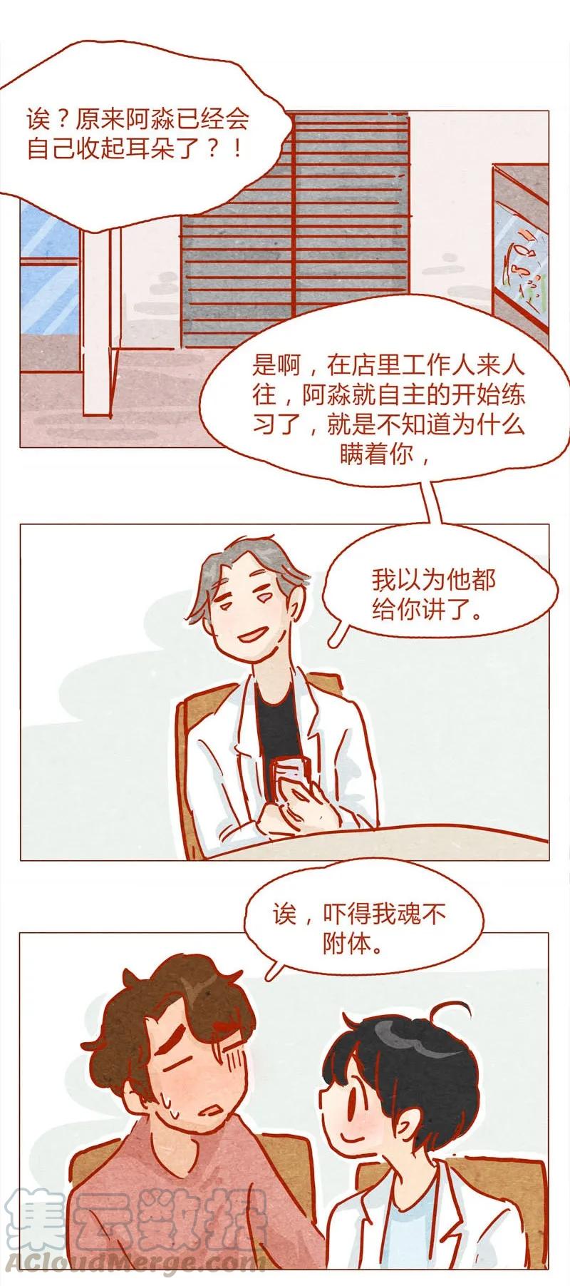 喂，看见耳朵啦 - 139话 铁打的粉丝流水的网红～ - 第17张图