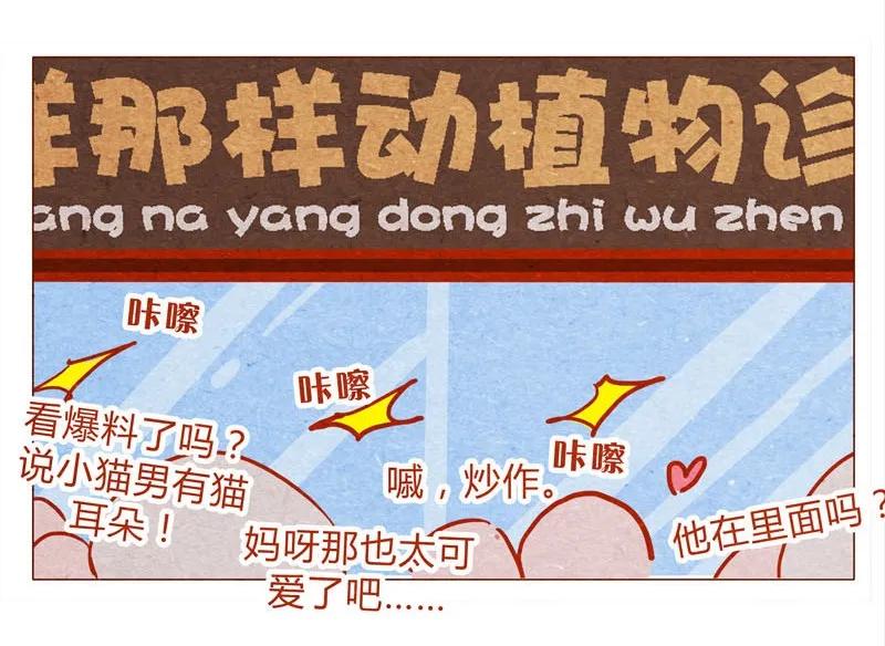 喂，看见耳朵啦 - 139话 铁打的粉丝流水的网红～ - 第7张图
