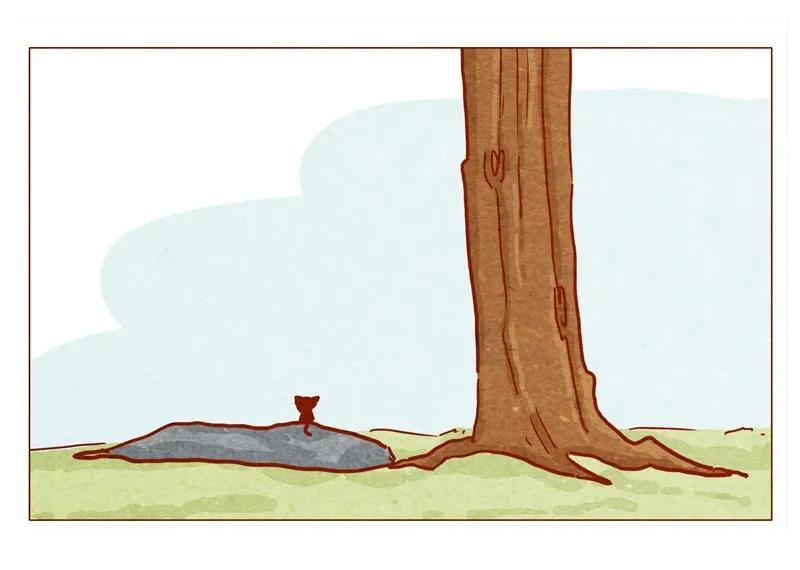 喂，看见耳朵啦 - 141话 小丸的秘密 - 第6张图