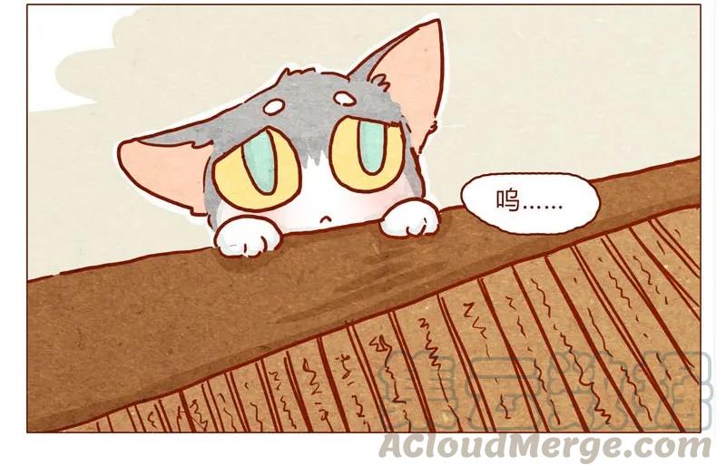 喂，看见耳朵啦 - 141话 小丸的秘密 - 第5张图