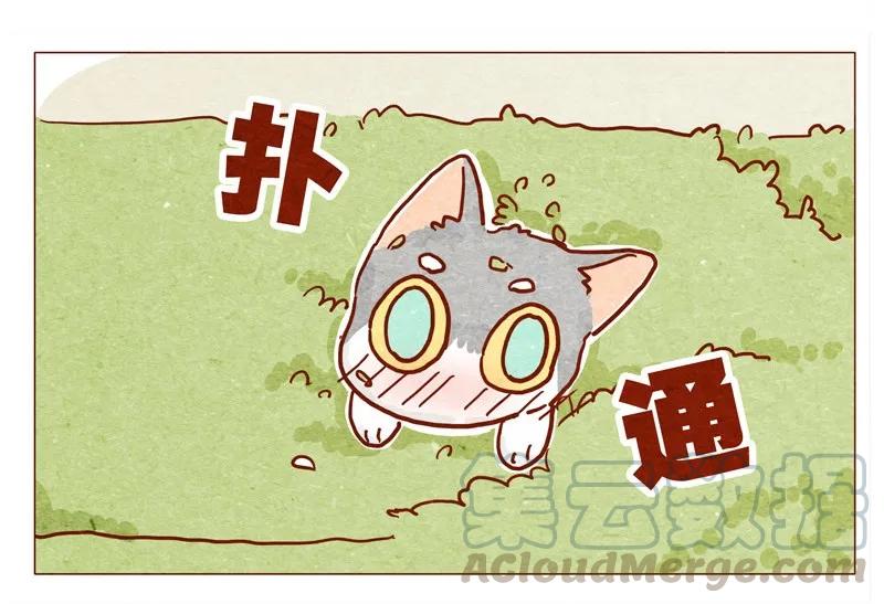 喂，看见耳朵啦 - 142话 当耳朵族真无聊 - 第5张图