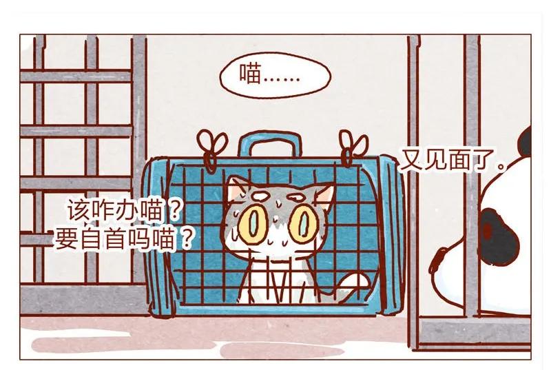 喂，看见耳朵啦 - 143话 仇人相见 - 第4张图