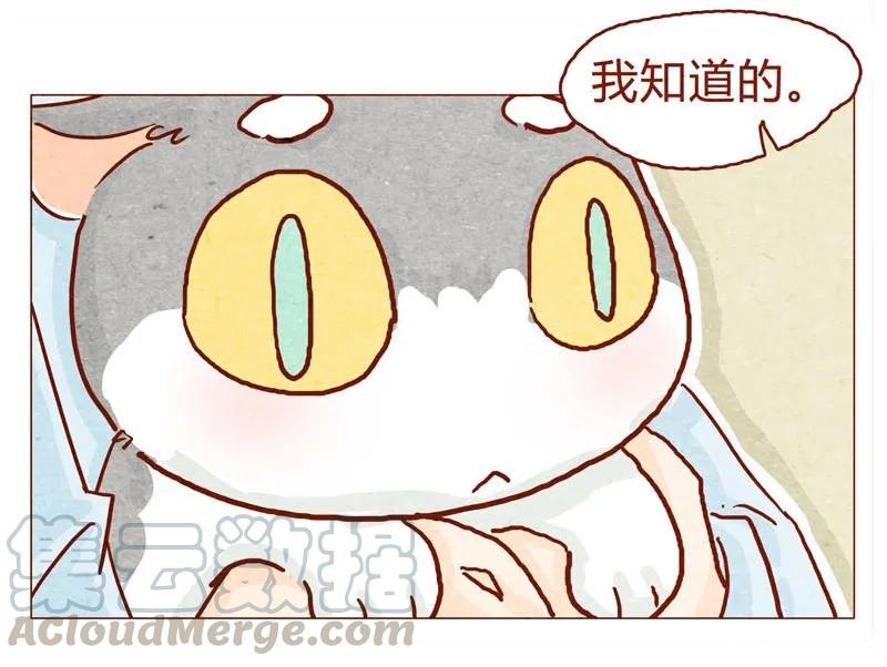 喂，看见耳朵啦 - 144话 分外尴尬 - 第7张图