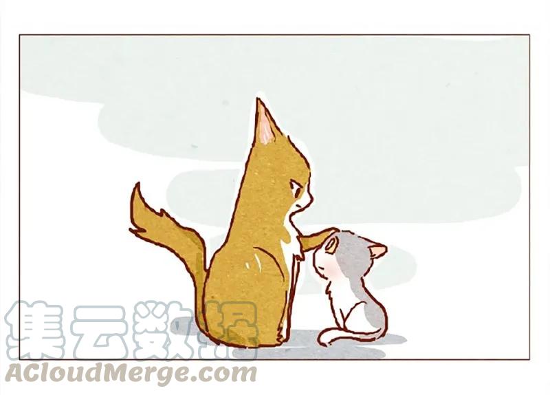 喂，看见耳朵啦 - 146话 您一生的护卫 - 第13张图