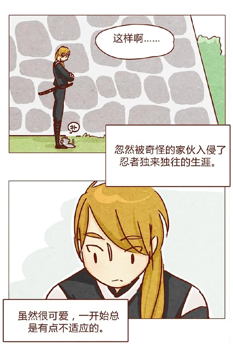 喂，看见耳朵啦 - 146话 您一生的护卫 - 第3张图