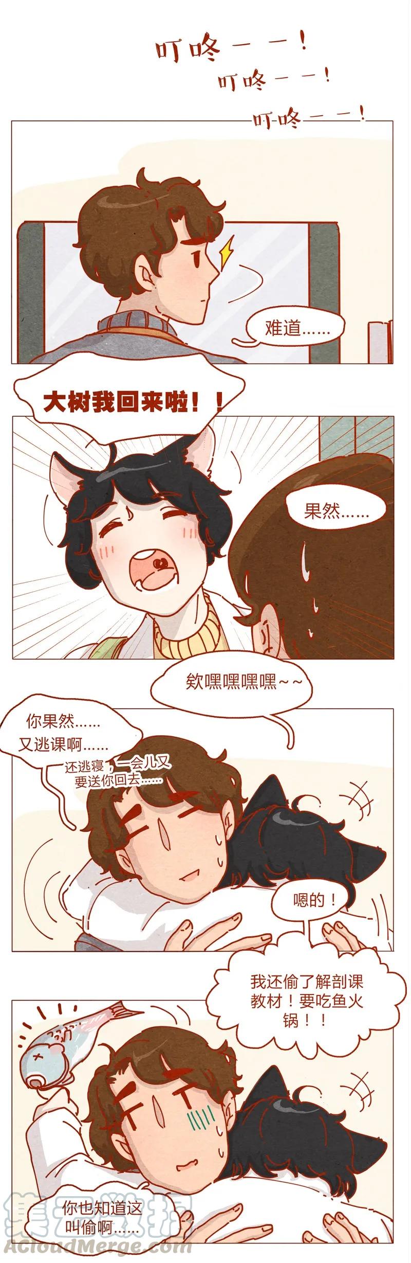 喂，看见耳朵啦 - 155话 适应能力超强大学生阿淼 - 第17张图