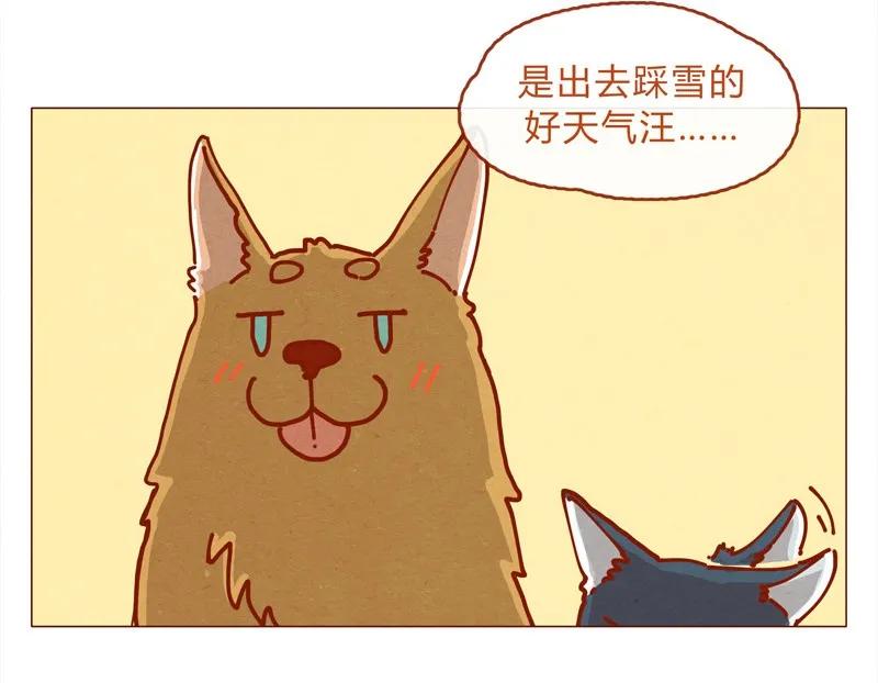 喂，看见耳朵啦 - 156话 踏雪寻梅好天气 - 第15张图