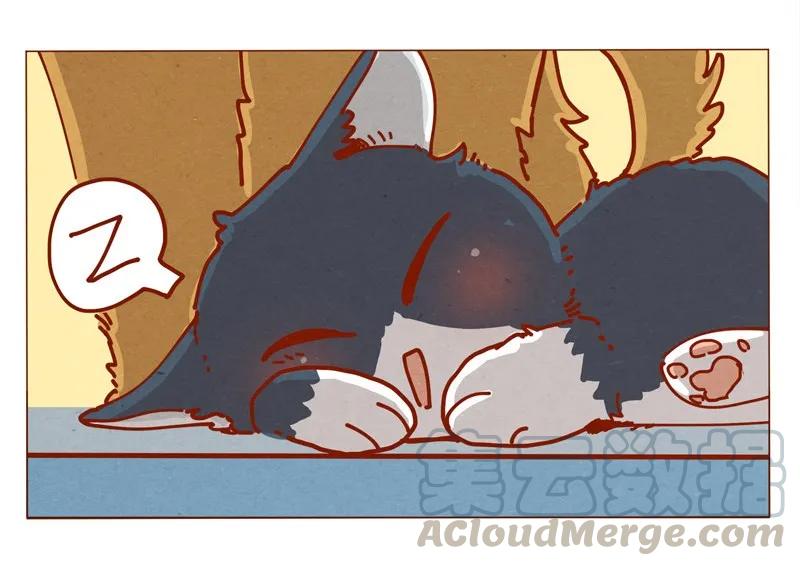 喂，看见耳朵啦 - 156话 踏雪寻梅好天气 - 第17张图