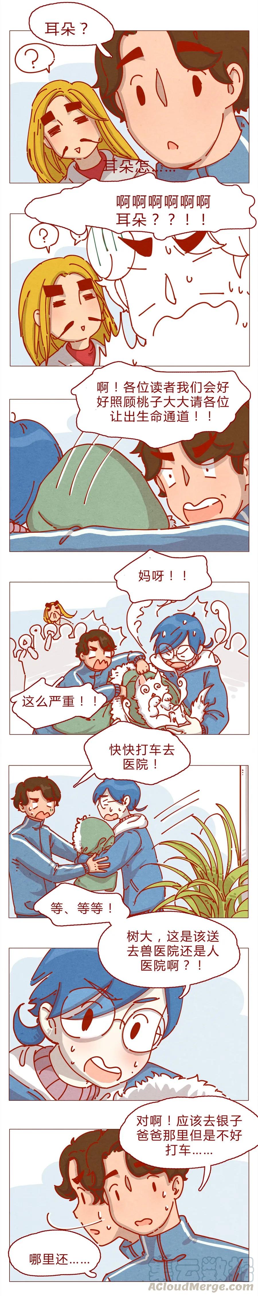 喂，看见耳朵啦 - 158话 医生帮帮忙 - 第5张图