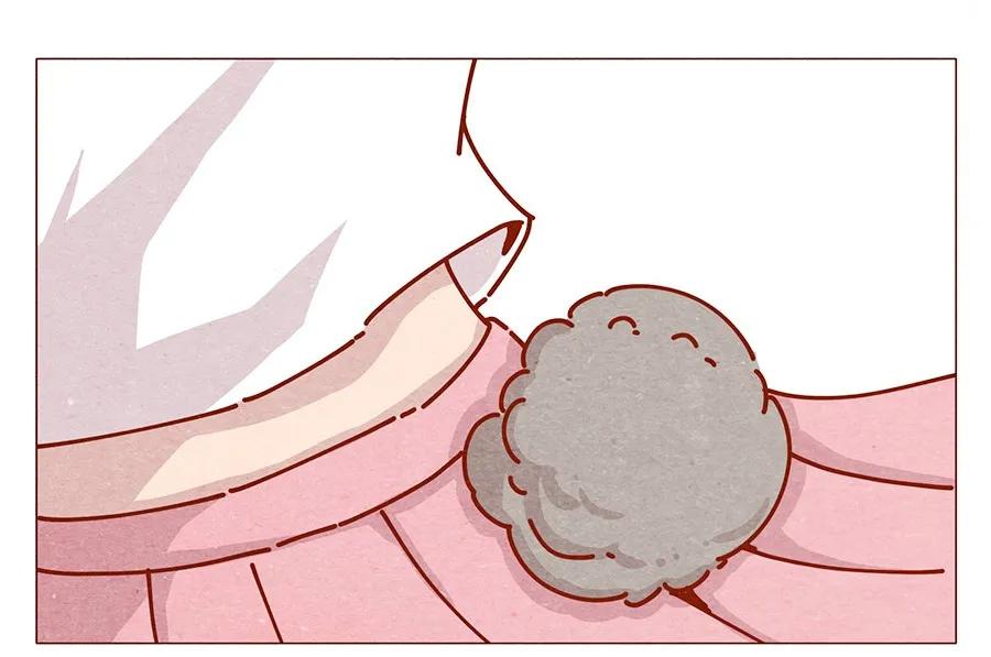 喂，看见耳朵啦 - 164话 大家好我是小银子 - 第14张图