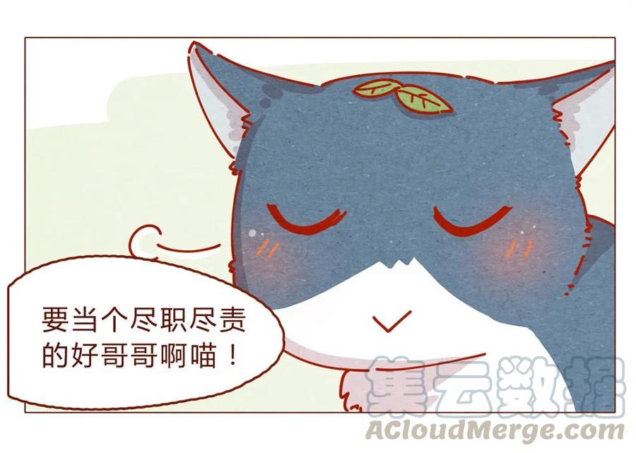 喂，看见耳朵啦 - 170话 论好哥哥的养成 - 第9张图