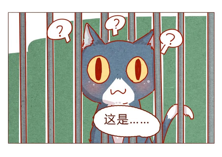 喂，看见耳朵啦 - 170话 论好哥哥的养成 - 第15张图