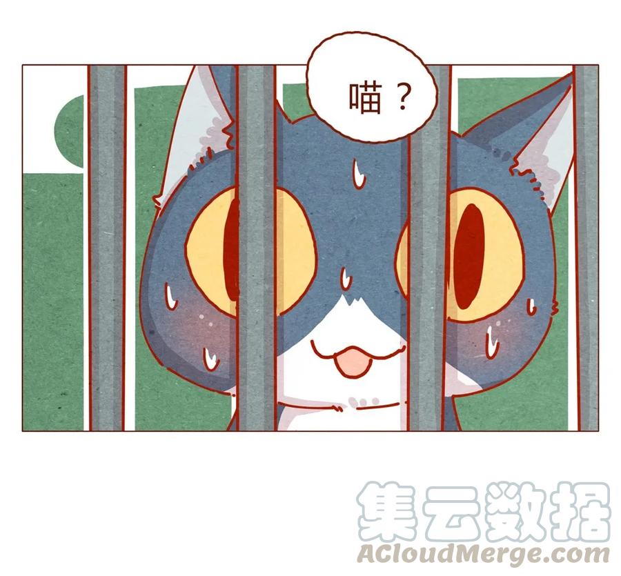 喂，看见耳朵啦 - 170话 论好哥哥的养成 - 第17张图