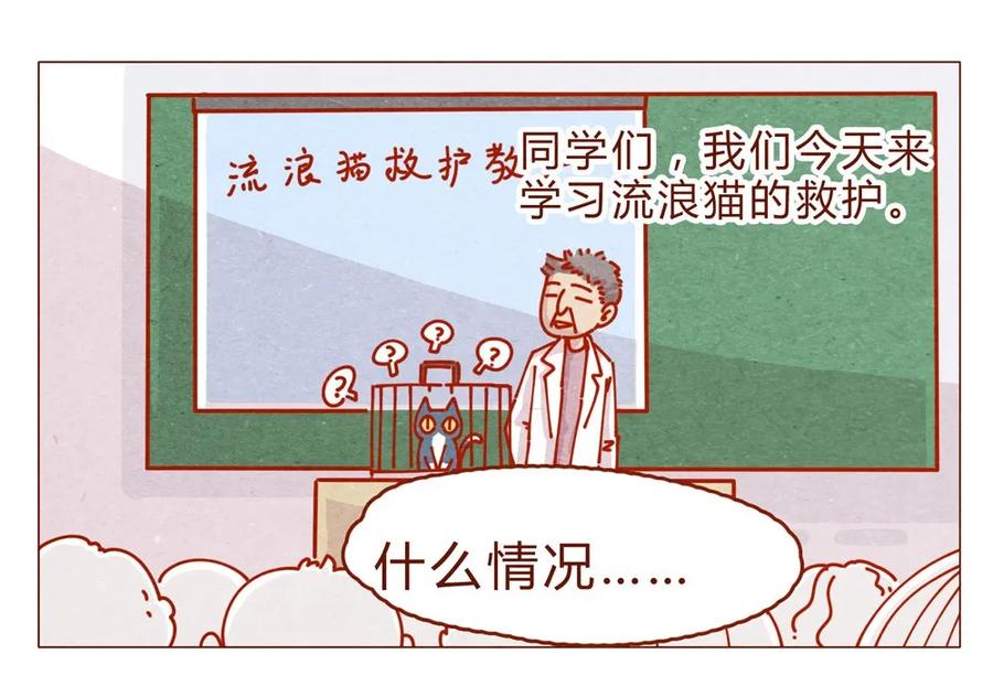 喂，看见耳朵啦 - 170话 论好哥哥的养成 - 第16张图