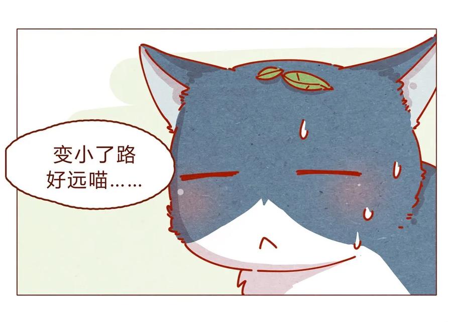 喂，看见耳朵啦 - 170话 论好哥哥的养成 - 第8张图