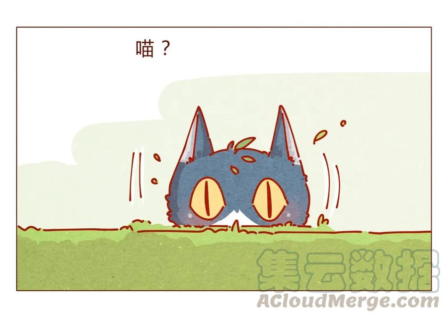 喂，看见耳朵啦 - 170话 论好哥哥的养成 - 第5张图