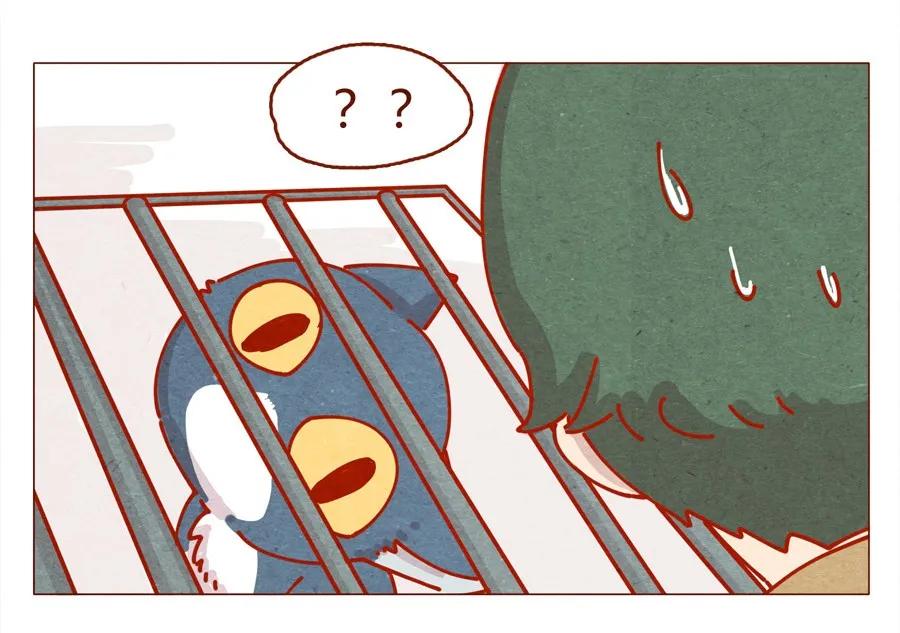 喂，看见耳朵啦 - 171话 别人家的喵！ - 第6张图