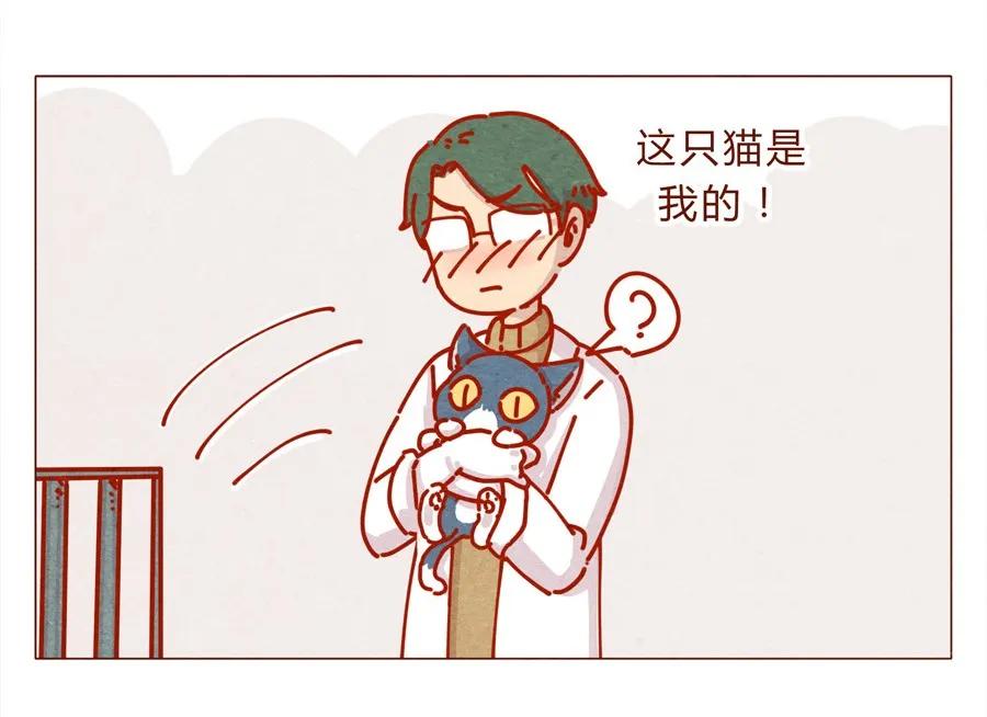 喂，看见耳朵啦 - 171话 别人家的喵！ - 第11张图