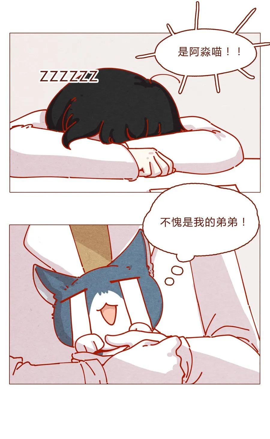 喂，看见耳朵啦 - 171话 别人家的喵！ - 第19张图