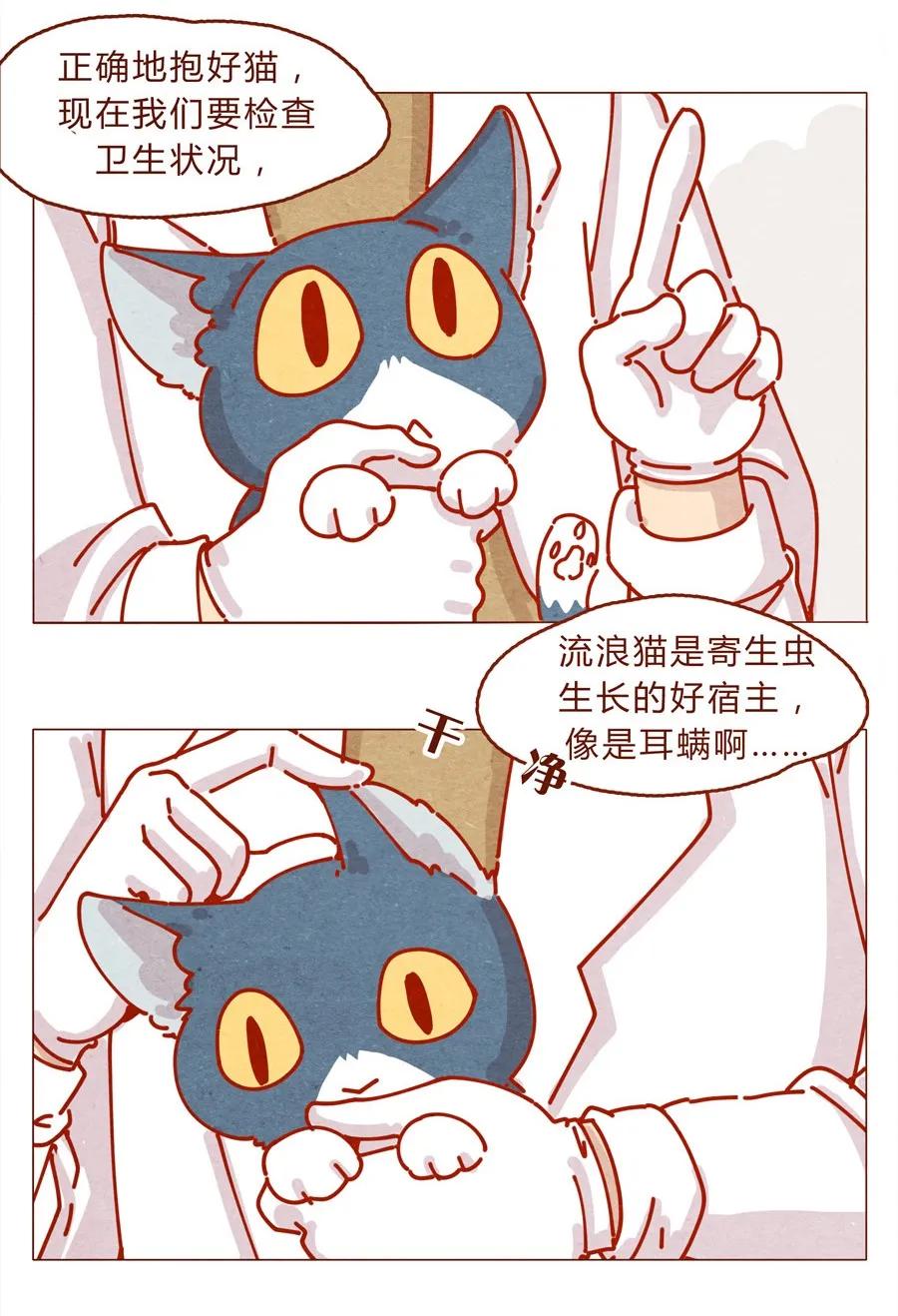 喂，看见耳朵啦 - 171话 别人家的喵！ - 第14张图