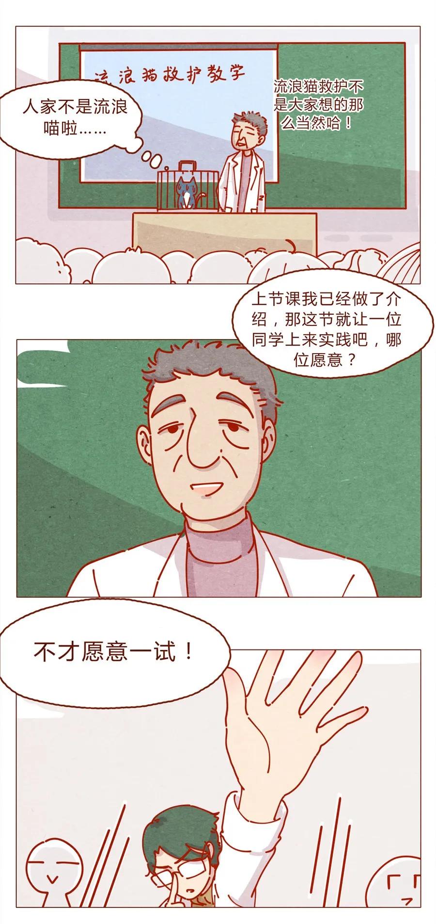 喂，看见耳朵啦 - 171话 别人家的喵！ - 第2张图