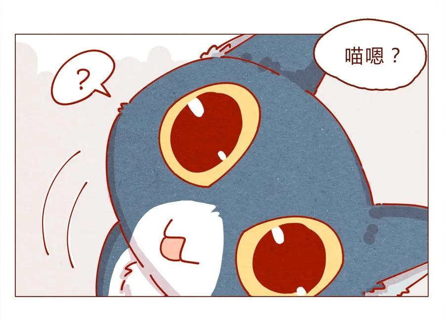 喂，看见耳朵啦 - 171话 别人家的喵！ - 第7张图