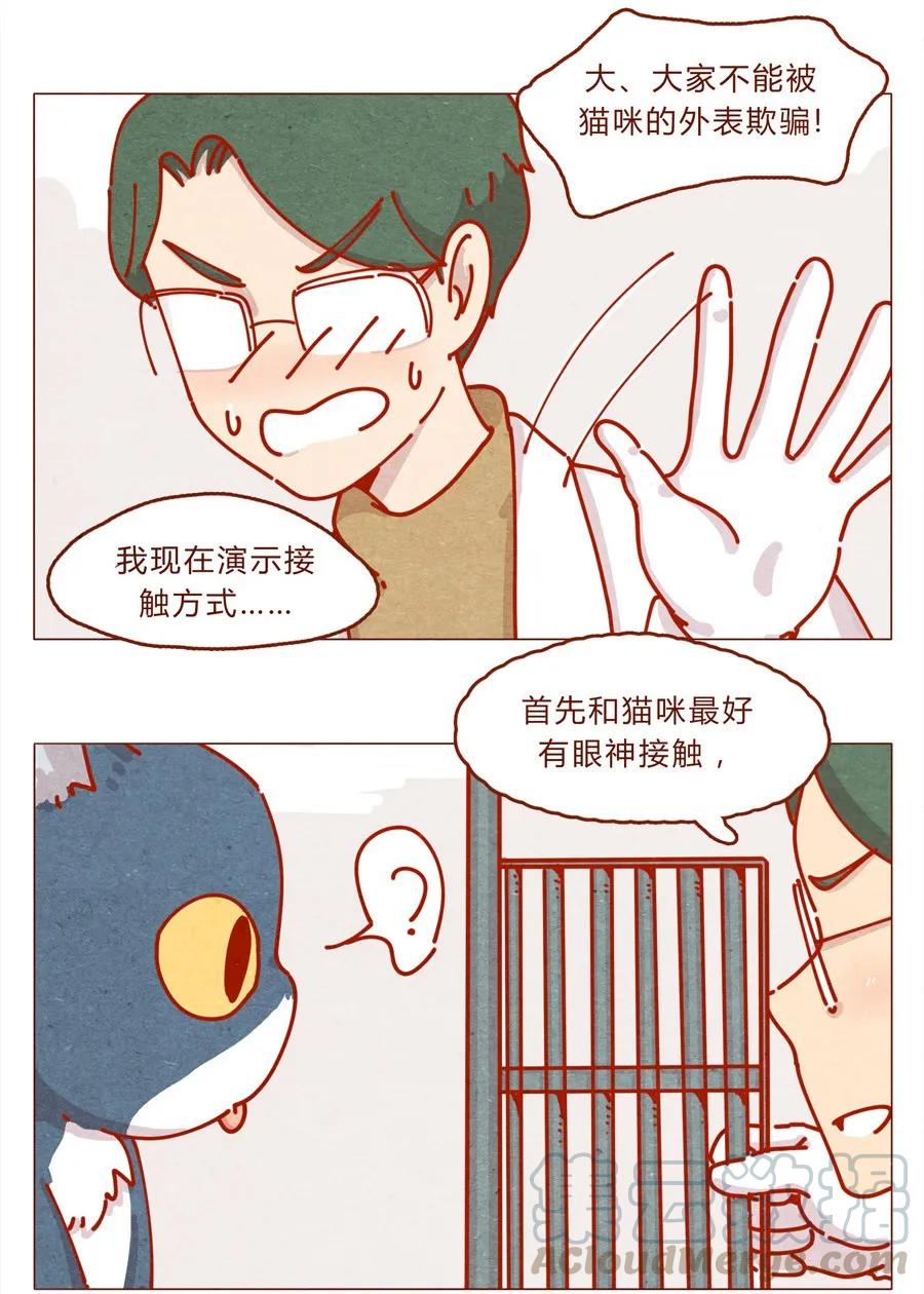 喂，看见耳朵啦 - 171话 别人家的喵！ - 第9张图