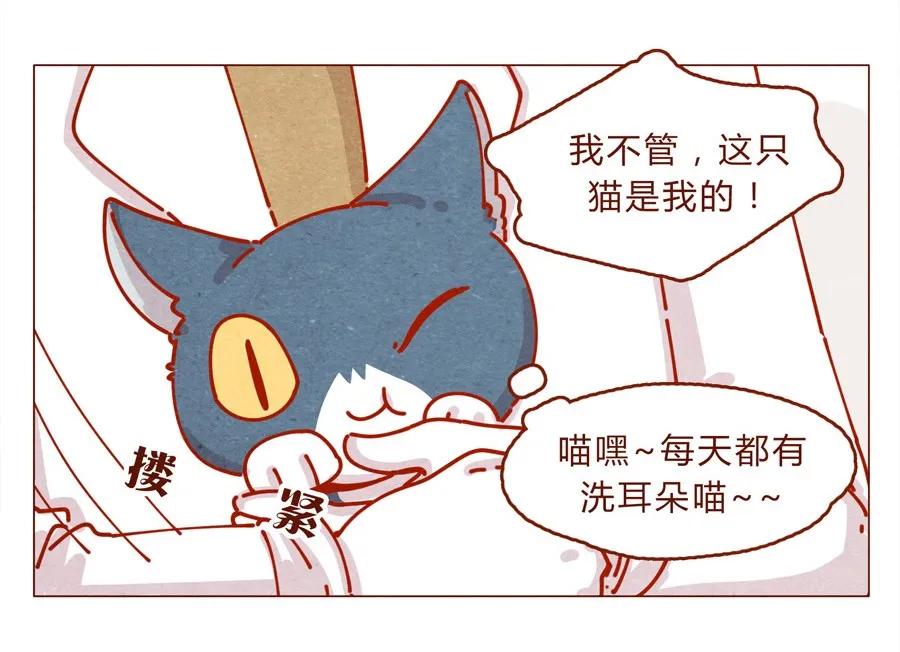 喂，看见耳朵啦 - 171话 别人家的喵！ - 第16张图