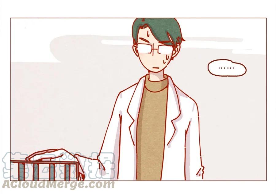 喂，看见耳朵啦 - 171话 别人家的喵！ - 第5张图