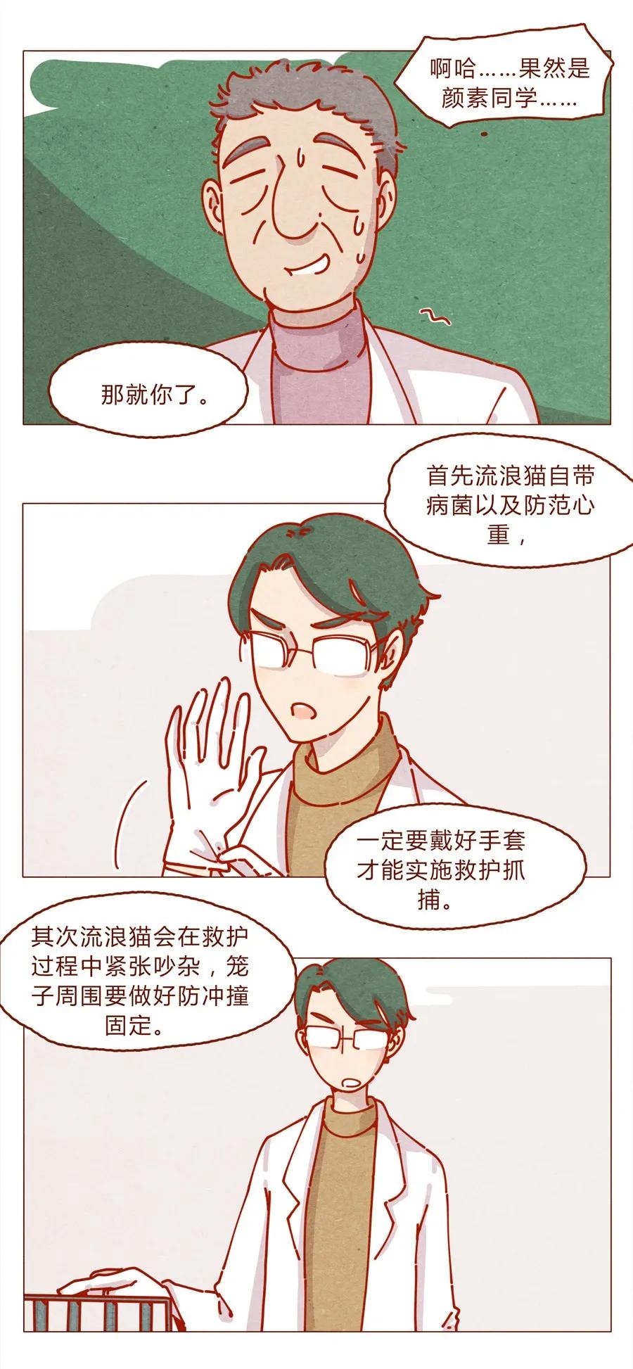 喂，看见耳朵啦 - 171话 别人家的喵！ - 第3张图