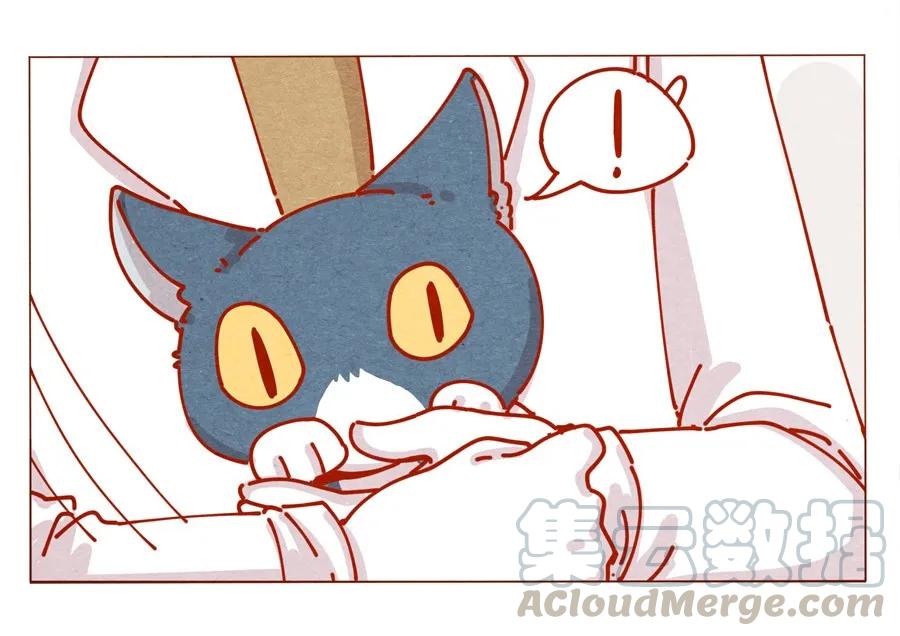 喂，看见耳朵啦 - 171话 别人家的喵！ - 第17张图