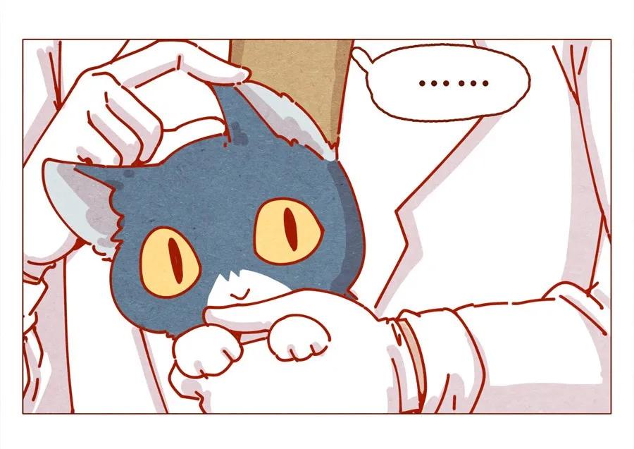 喂，看见耳朵啦 - 171话 别人家的喵！ - 第15张图