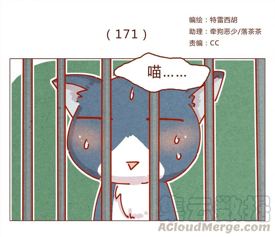 喂，看见耳朵啦 - 171话 别人家的喵！ - 第1张图