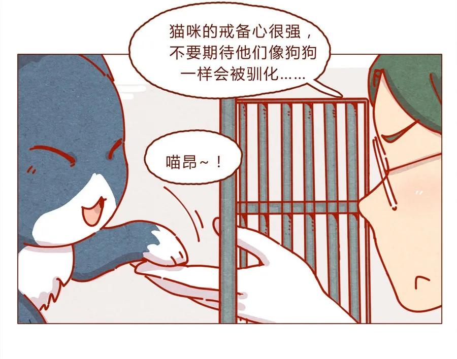 喂，看见耳朵啦 - 171话 别人家的喵！ - 第10张图