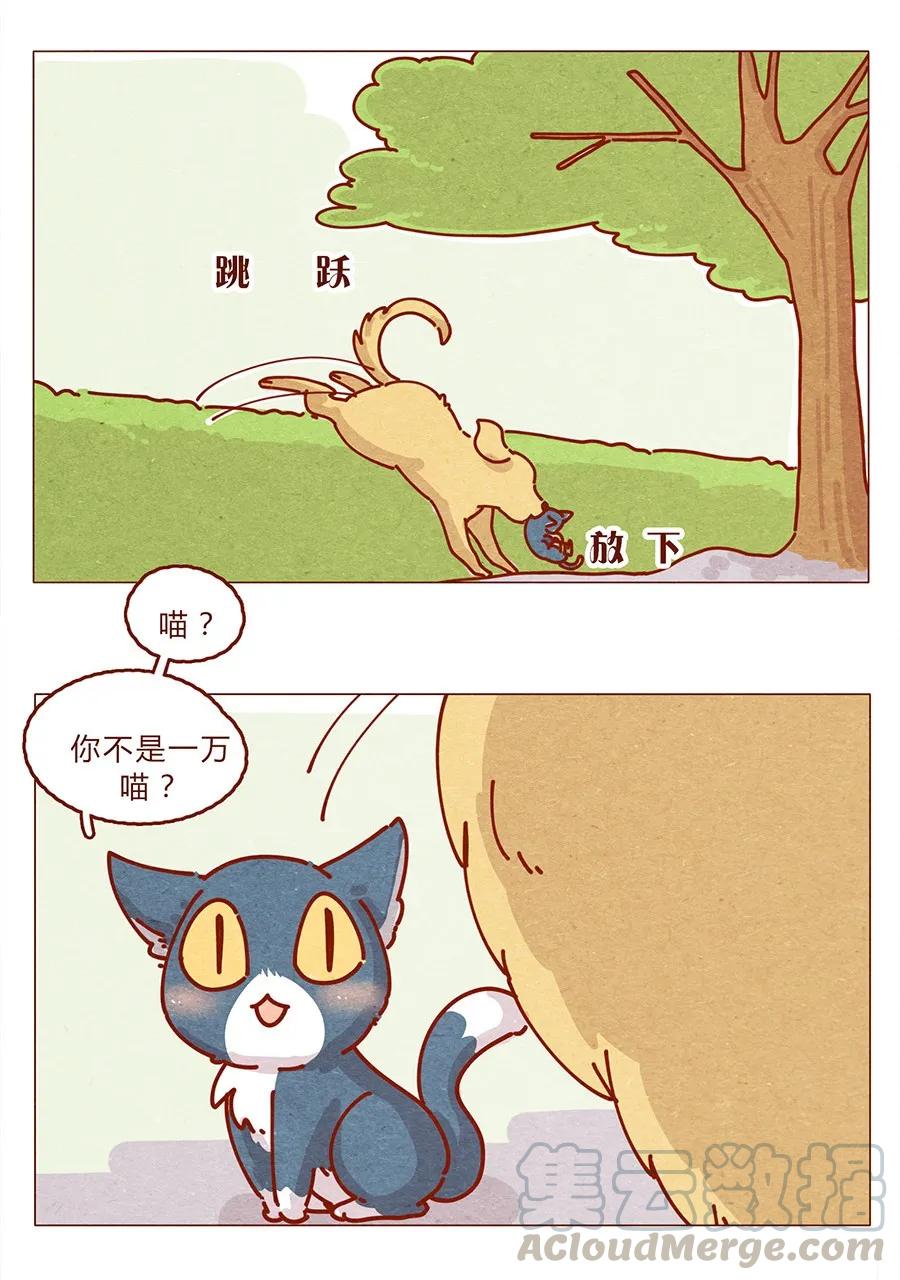 喂，看见耳朵啦 - 172话 汪来喵去 - 第13张图