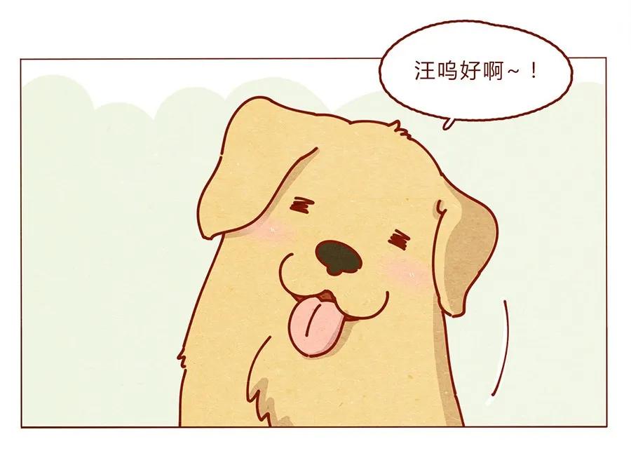 喂，看见耳朵啦 - 172话 汪来喵去 - 第20张图