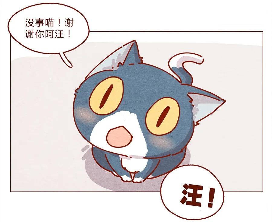 喂，看见耳朵啦 - 172话 汪来喵去 - 第16张图