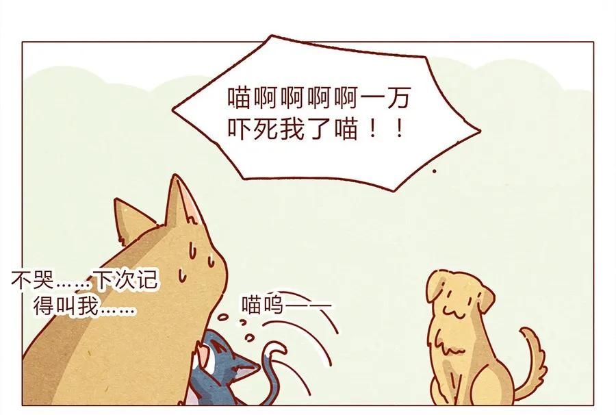 喂，看见耳朵啦 - 172话 汪来喵去 - 第18张图