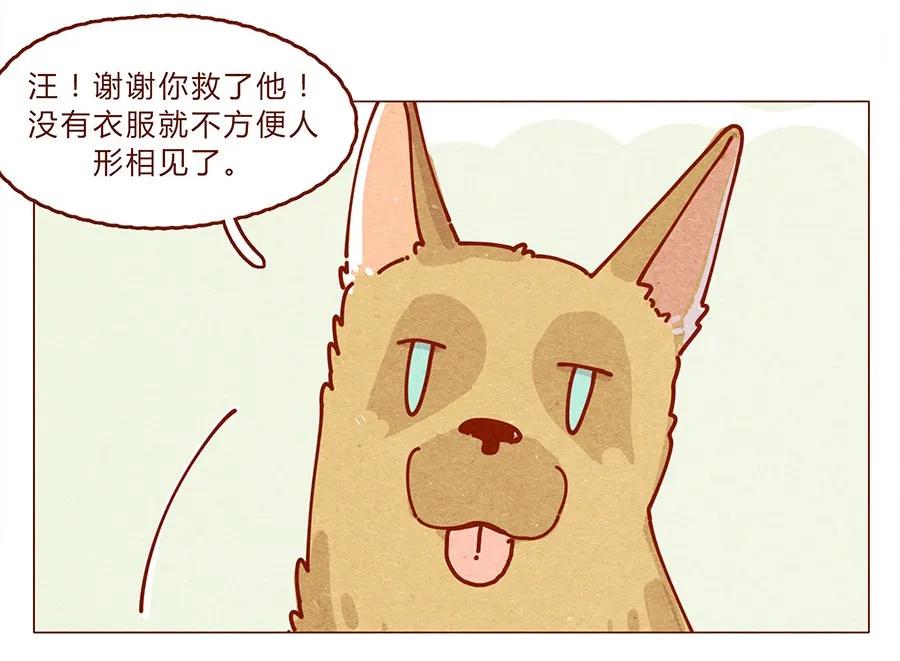 喂，看见耳朵啦 - 172话 汪来喵去 - 第19张图