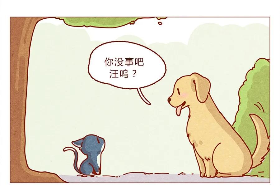 喂，看见耳朵啦 - 172话 汪来喵去 - 第15张图