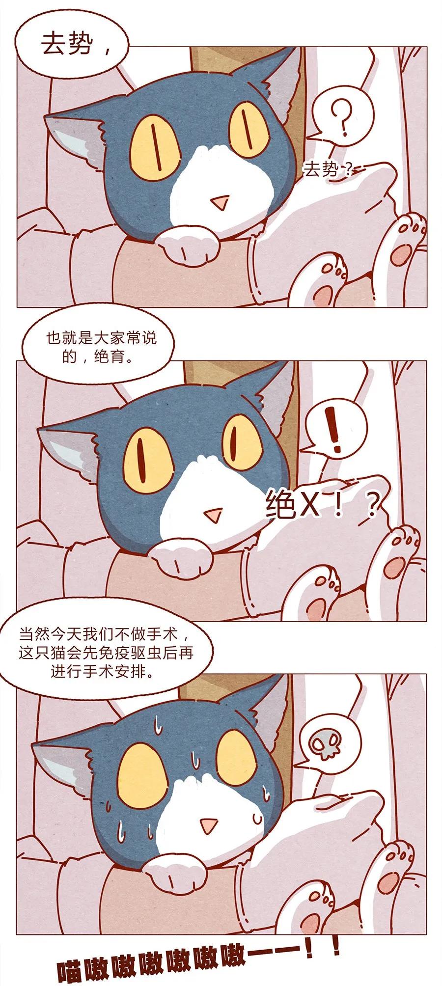 喂，看见耳朵啦 - 172话 汪来喵去 - 第4张图