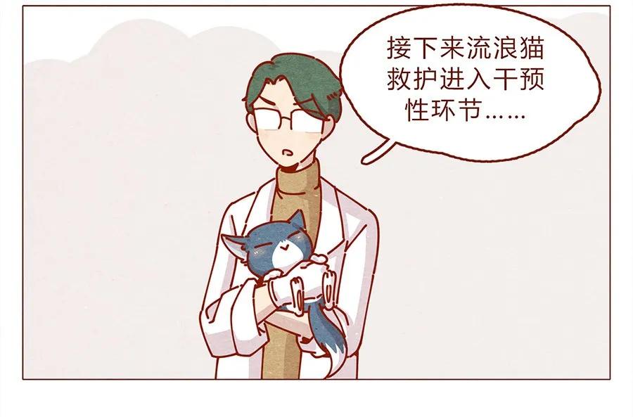 喂，看见耳朵啦 - 172话 汪来喵去 - 第2张图