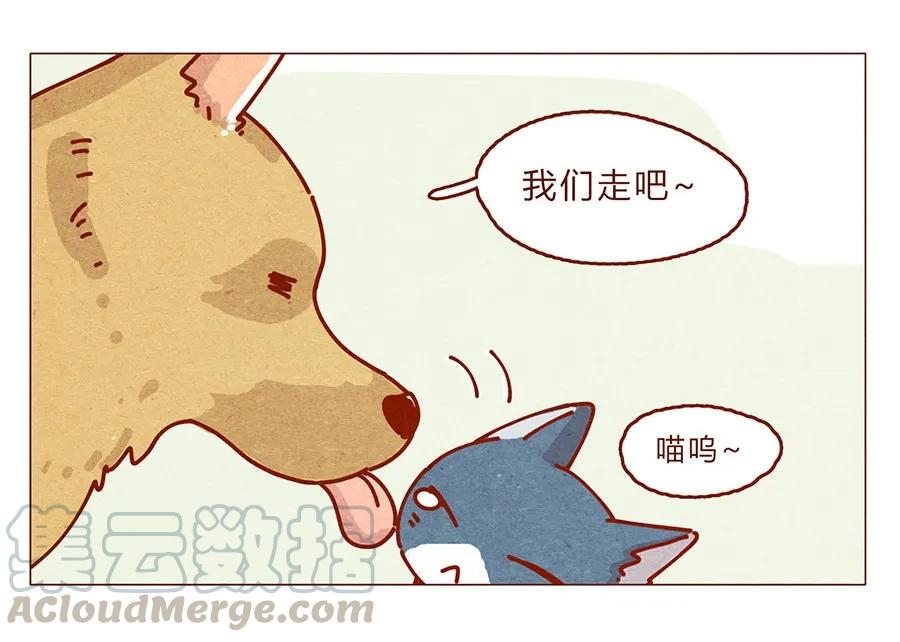 喂，看见耳朵啦 - 172话 汪来喵去 - 第21张图