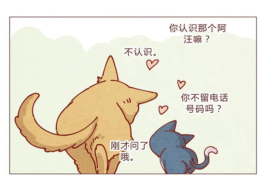 喂，看见耳朵啦 - 172话 汪来喵去 - 第22张图