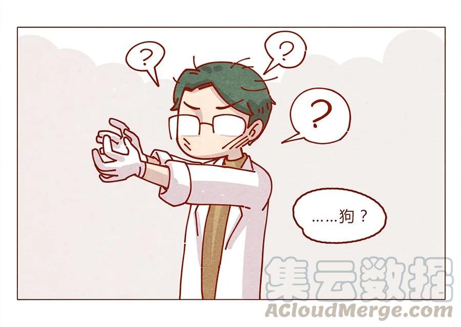 喂，看见耳朵啦 - 172话 汪来喵去 - 第9张图