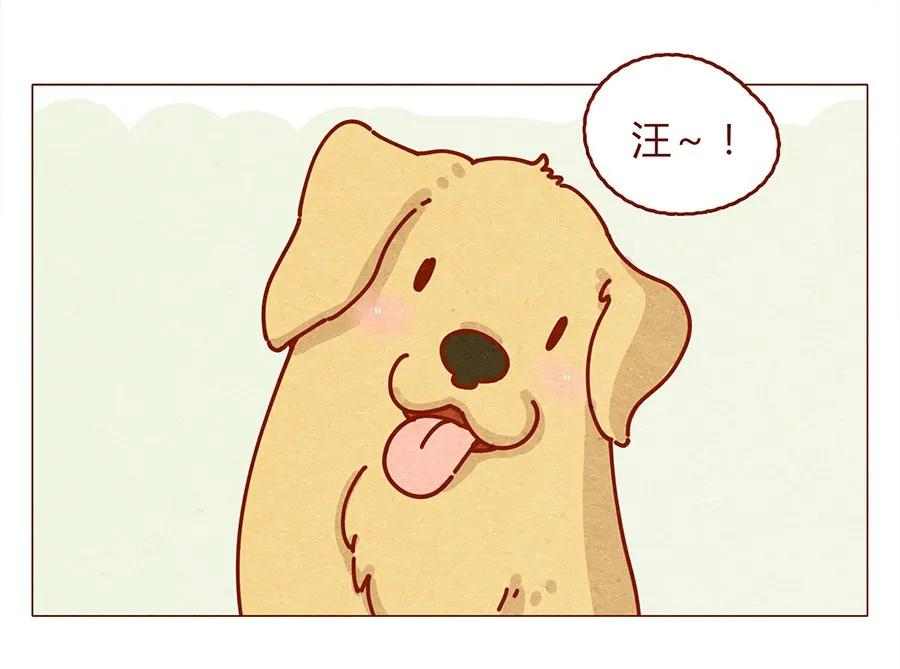 喂，看见耳朵啦 - 172话 汪来喵去 - 第14张图