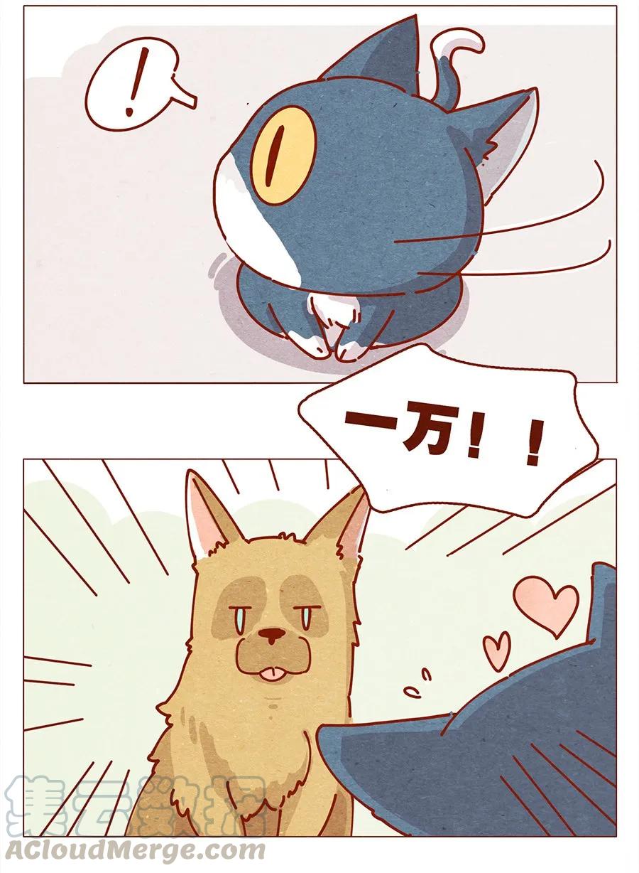 喂，看见耳朵啦 - 172话 汪来喵去 - 第17张图